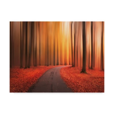 Christian Lindsten 'Path To Unknown' Canvas Art,18x24